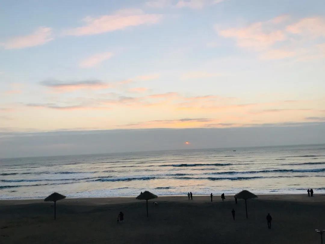 1607678377182234.jpg 12.jpg