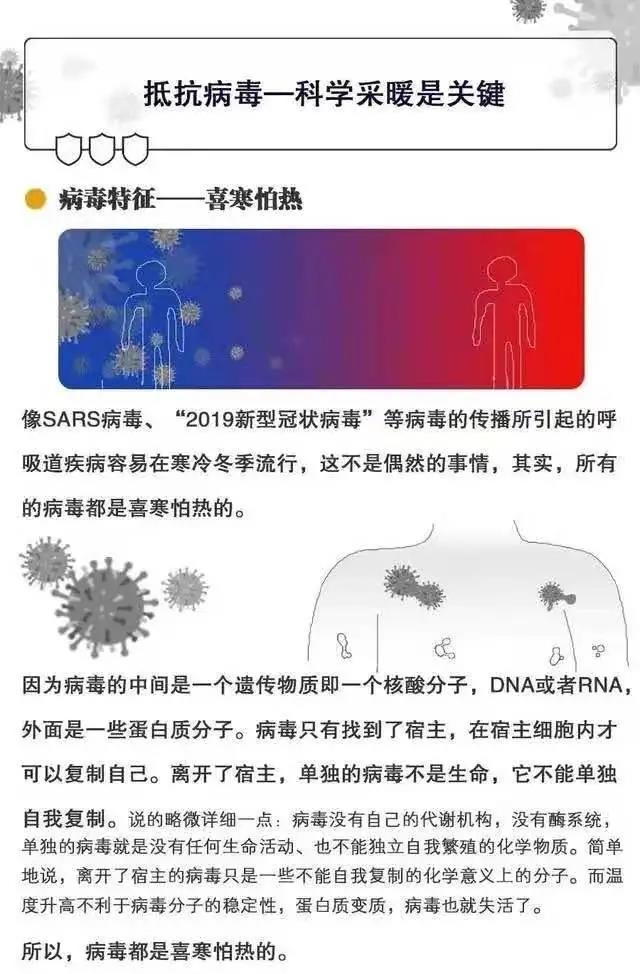 1609837798658242.jpg 02.jpg