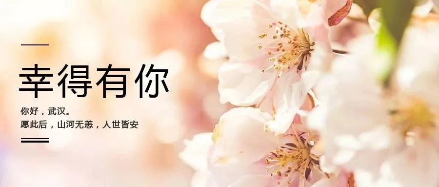 1587861650803570.jpg 3.jpg