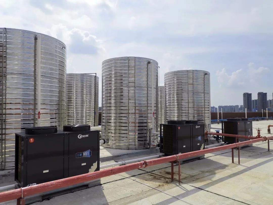 1605766006896219.jpg 03.jpg