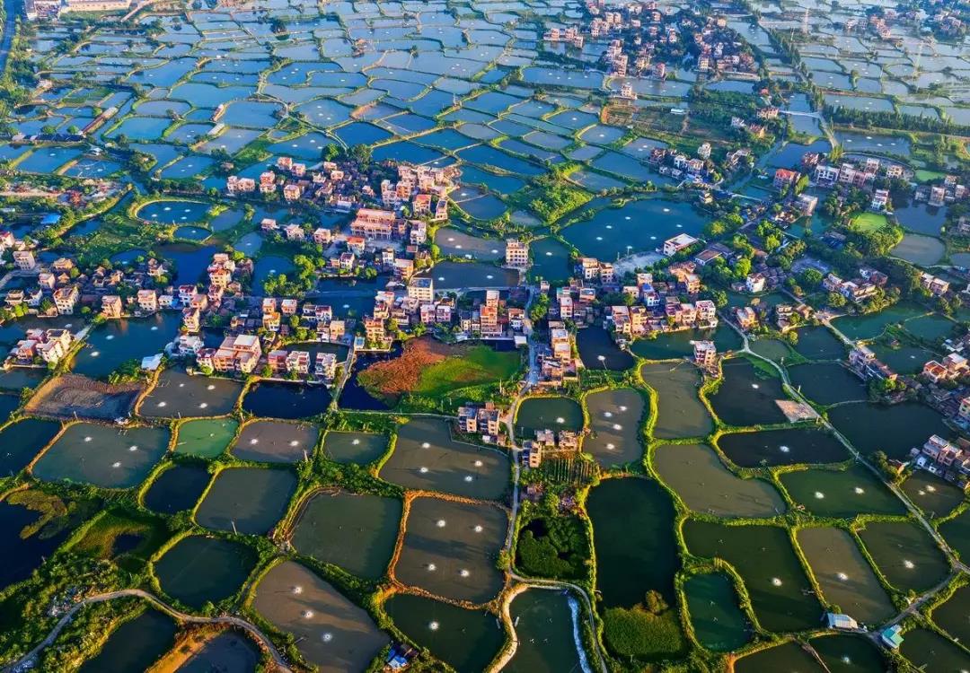 1622101268432018.jpg 微信圖片_20210527153715.jpg