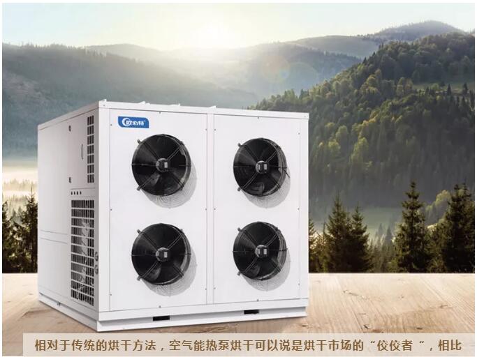 1631321507204882.jpg 4.jpg