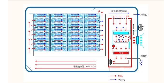 1631321550382046.jpg 5.jpg