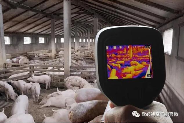 1633751478118765.jpg 1.jpg