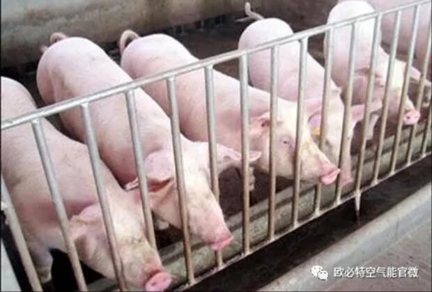 1633751621732882.jpg 3.jpg