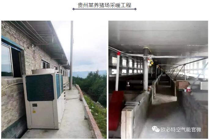 1633751886656476.jpg 8.jpg