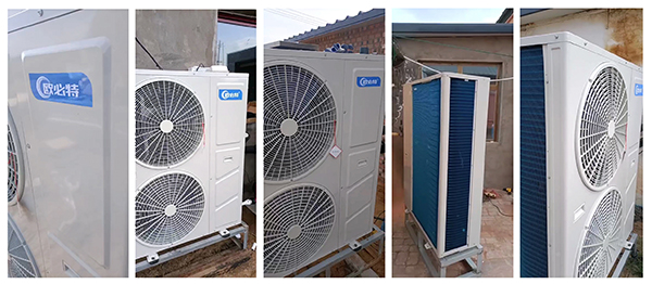 1639806302765587.jpg 3.jpg